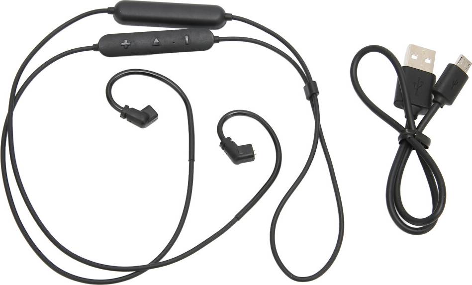 Bluetooth IEM Adapter Module