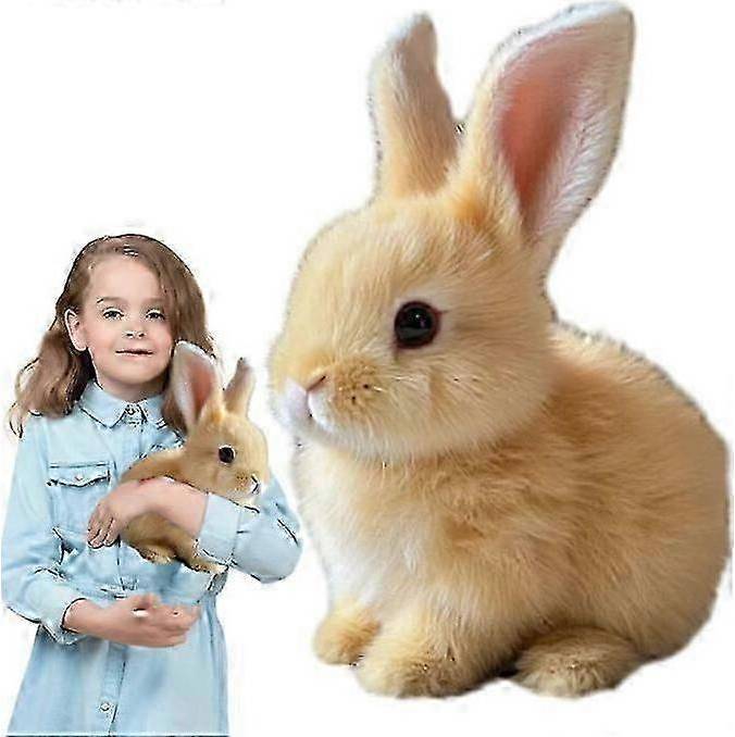 Electric Rabbit Plush Toy