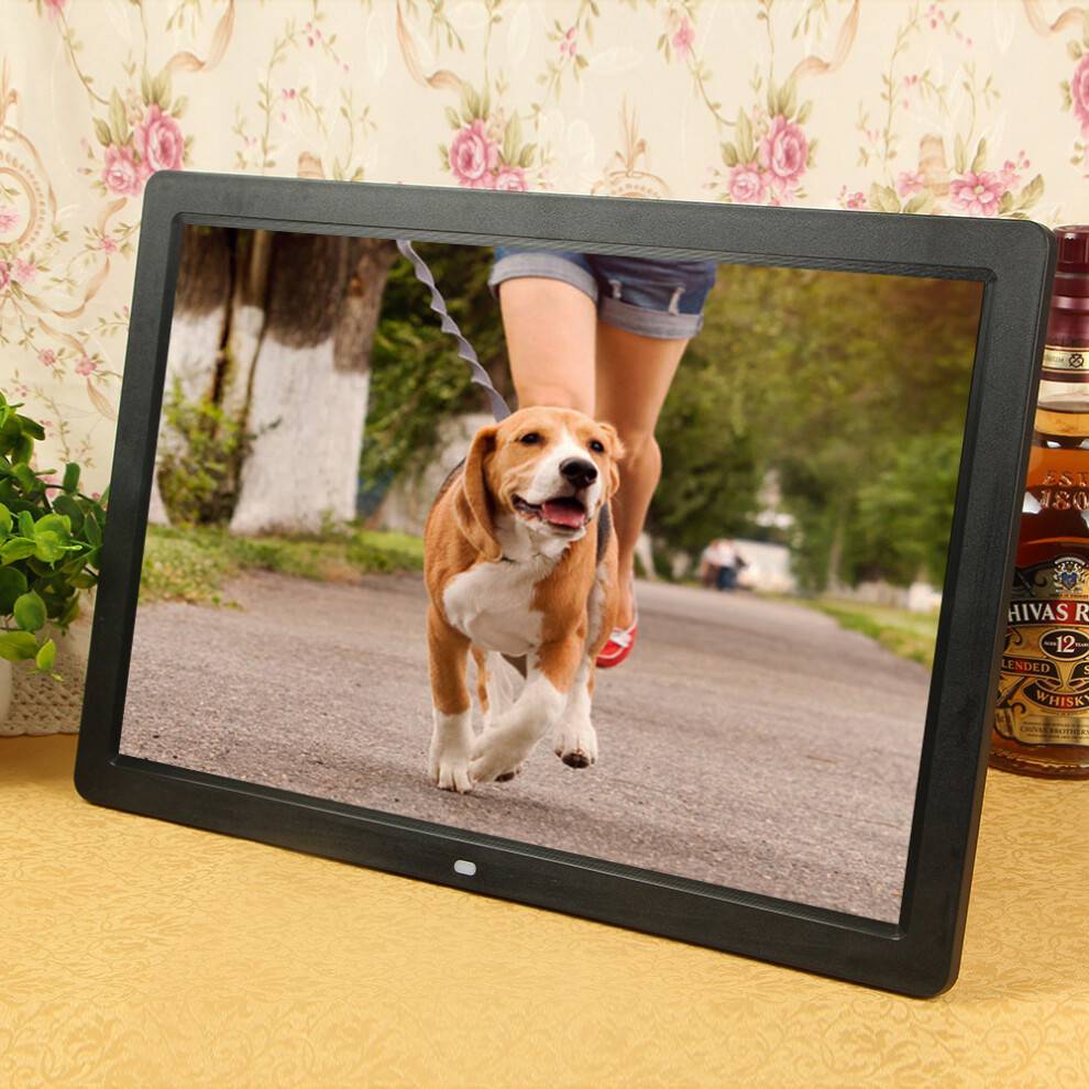17inch LED Digital Photo Frame