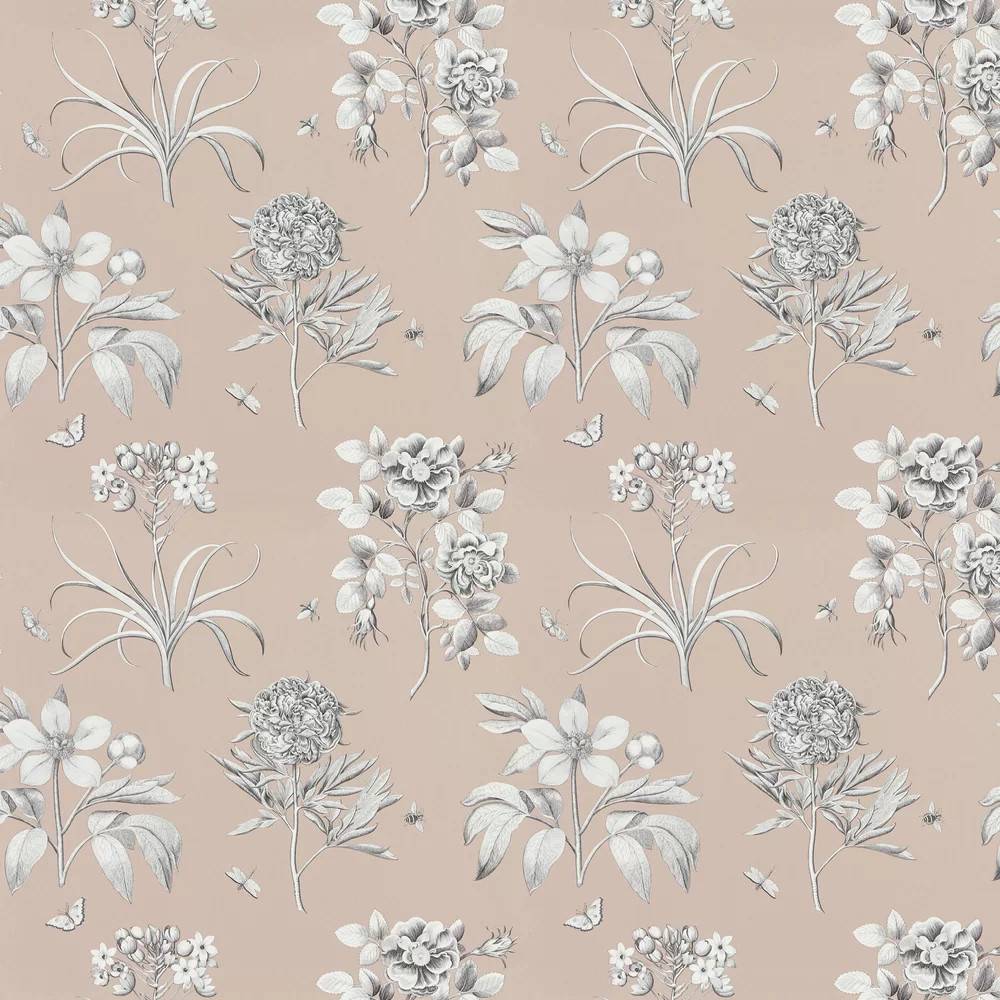 Sanderson Wallpaper Etchings Roses