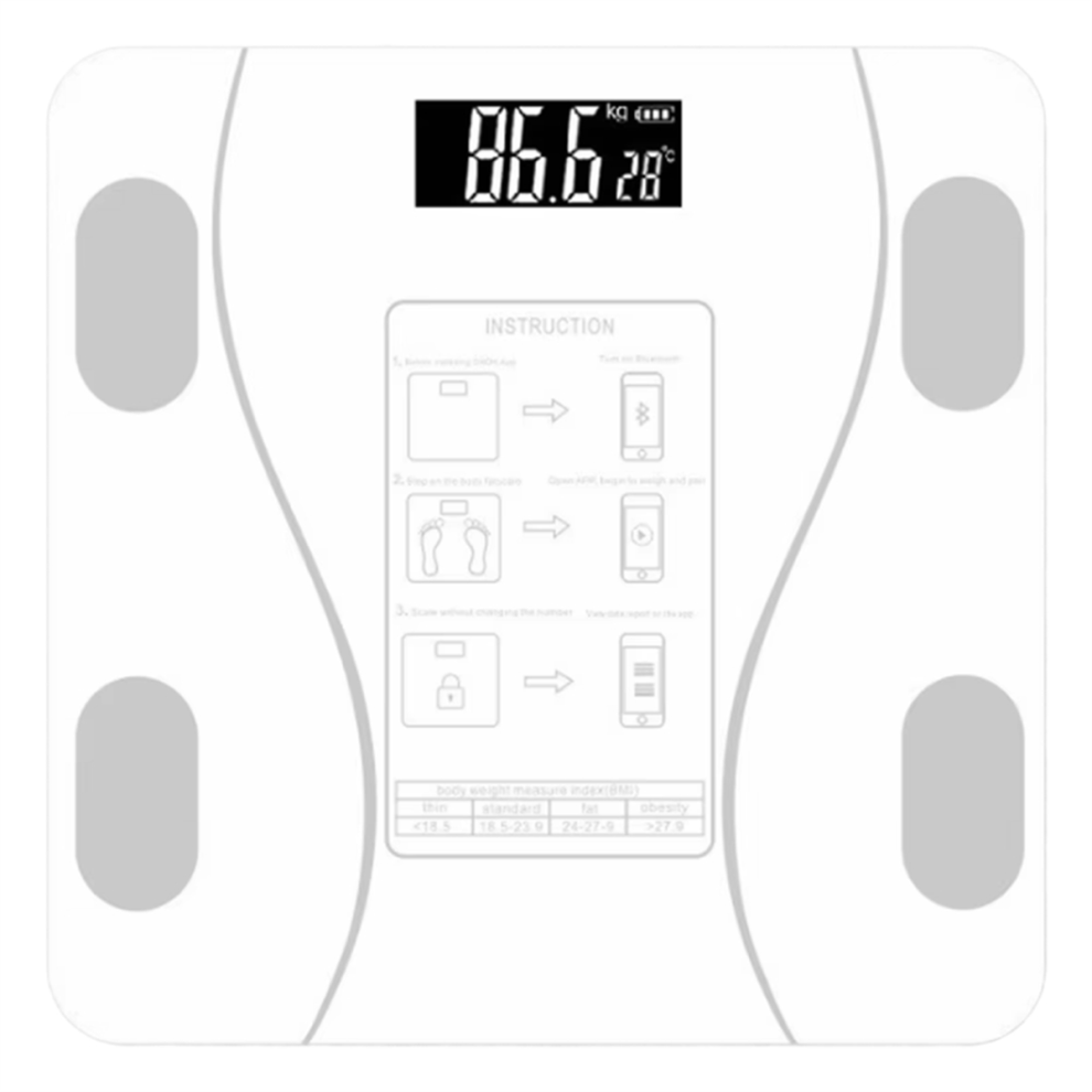Body Fat Scale