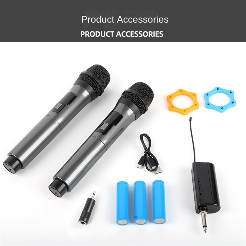 WN043 Wireless Microphone 2 Channels