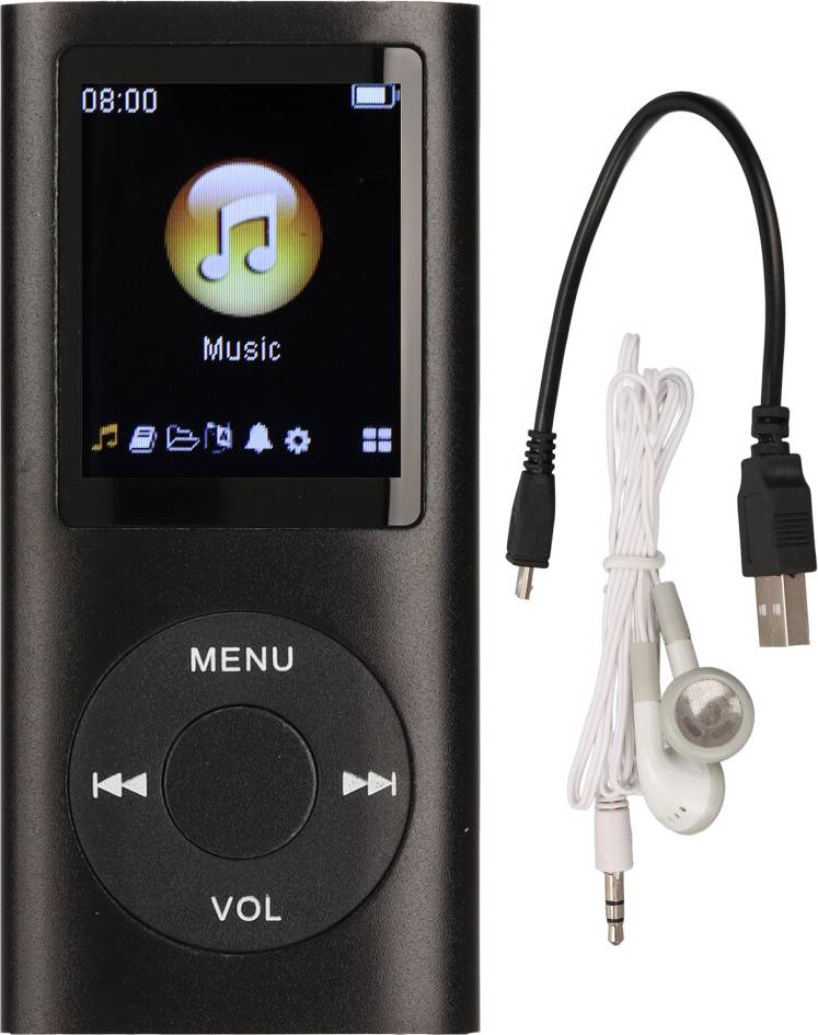 Large Memory Capacity Portable Music Player