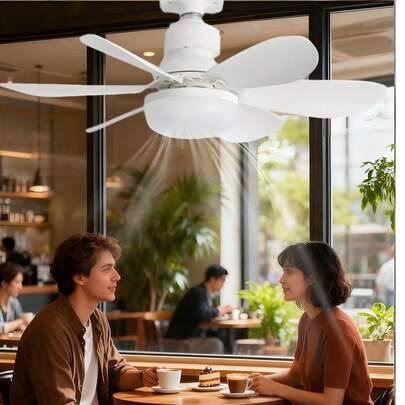 Shein 6-Blade LED Ceiling Fan With Light And Remote