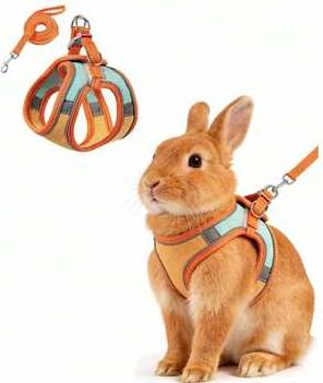 Shein Reflective Adjustable Rabbit Leash With Bear Ear