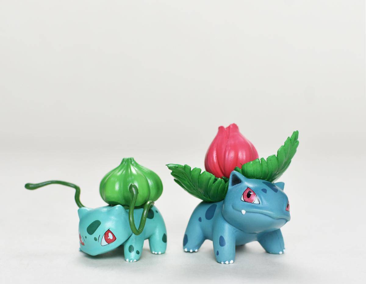 Bulbasaur Evolutionary Combination Figure