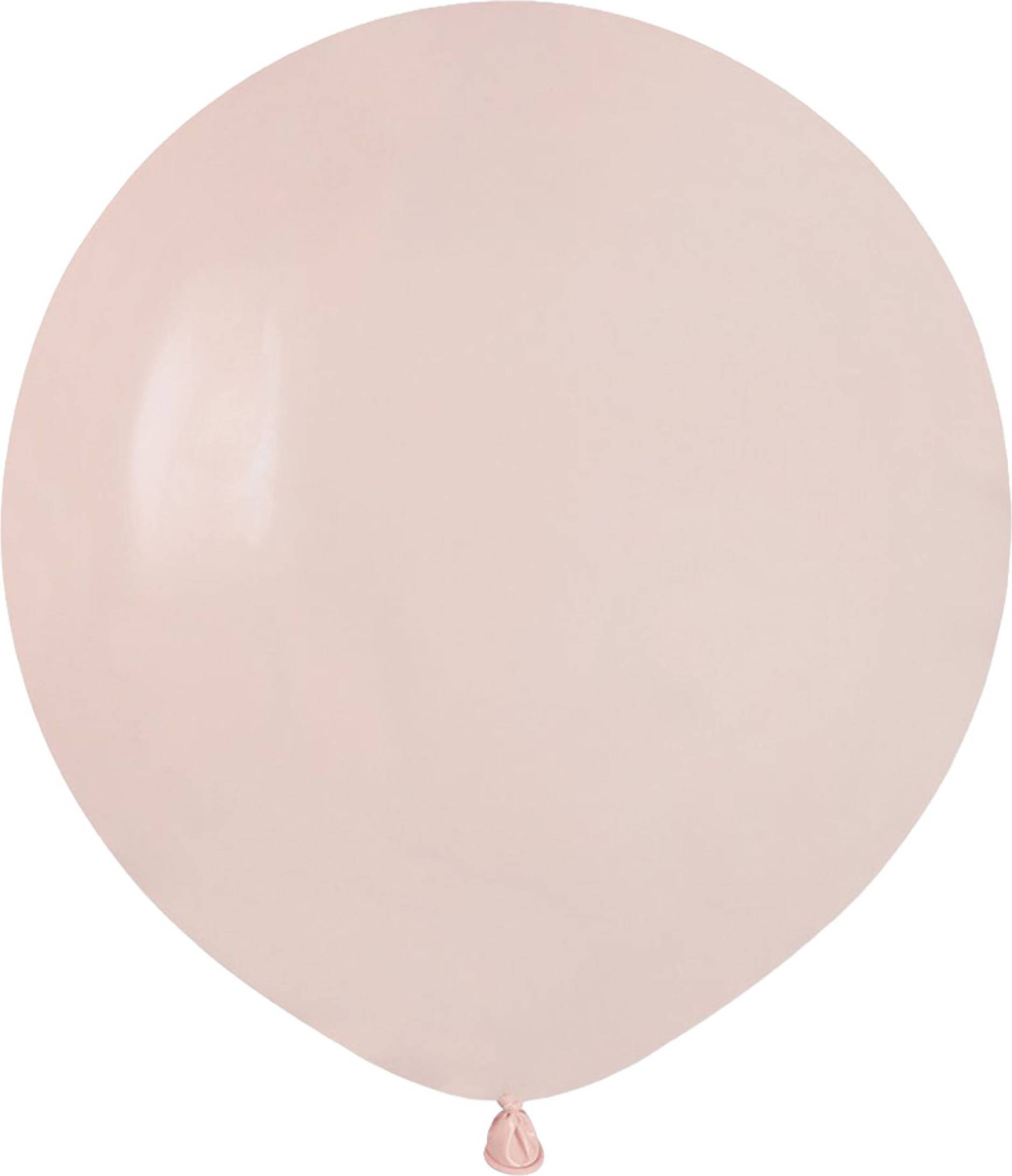 Ballongkungen Balloner Shell Runde Store 10-Pak