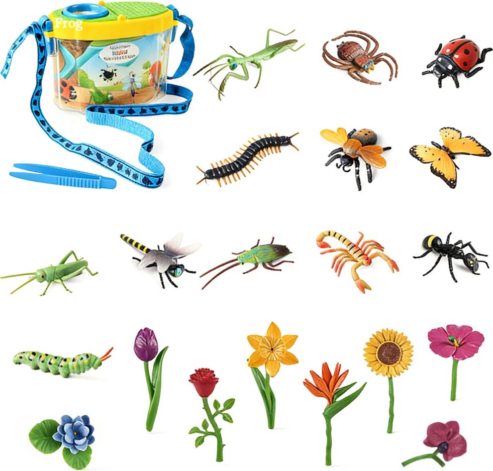 Educational Insect Exploration Set