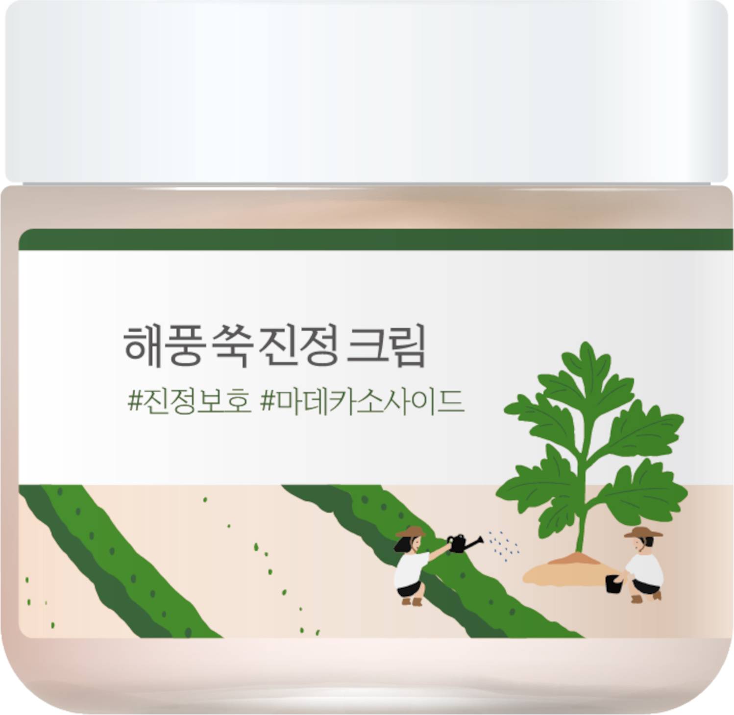 Round Lab Mugwort Calming Cream 80 ml