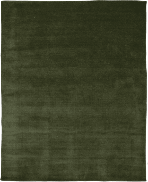 Classic Collection Solid Wool Rug 200x300 cm Green