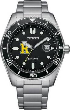 Citizen Men's Watch Silver Rochester Yellow