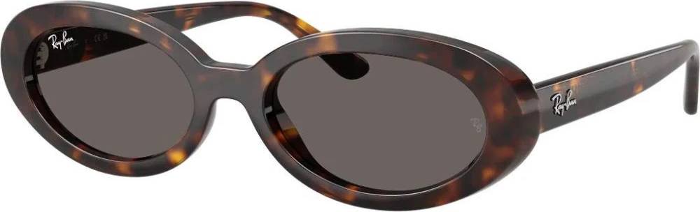 Ray-Ban Rb2223 Nylon Solbriller - Brun