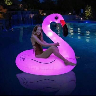Shein Inflatable Flamingo Swim Ring