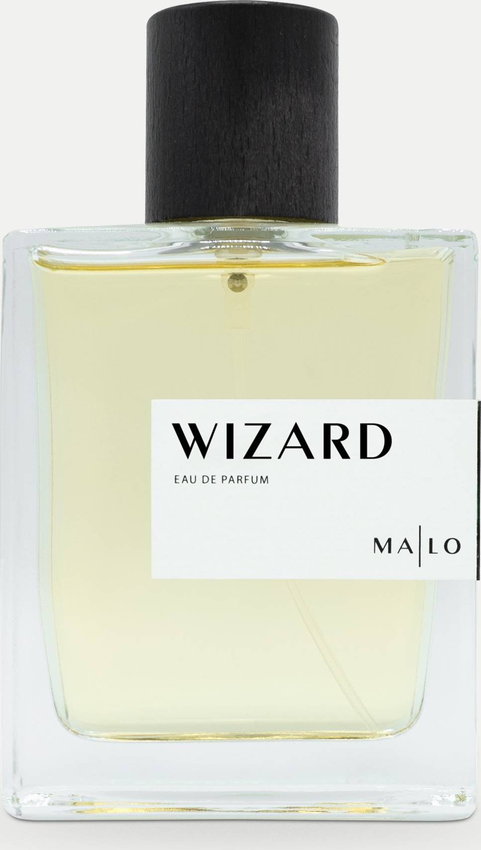 Wizard EdP