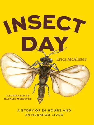Insect Day