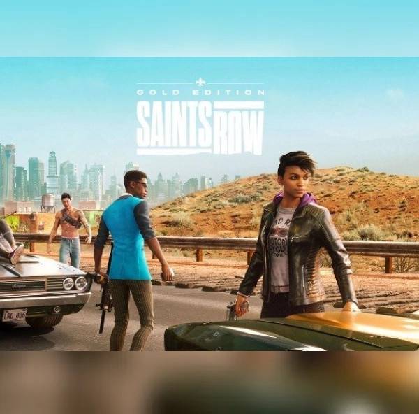 Saints Row Gold Edition PC Steam Key
