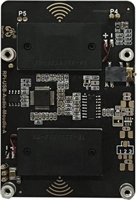 Usb audio interface Torribaly USB Audio Soundkartenmodul HAT Raspberry Pi 4B