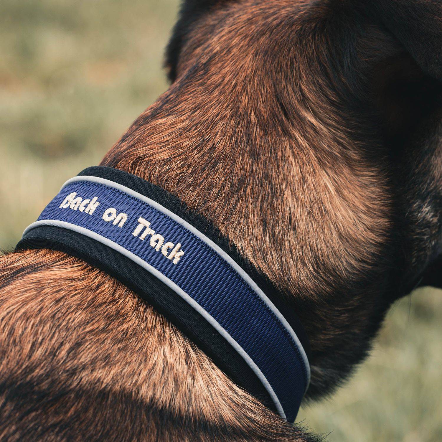 Back On Track Dog Collar Charlie Rouge