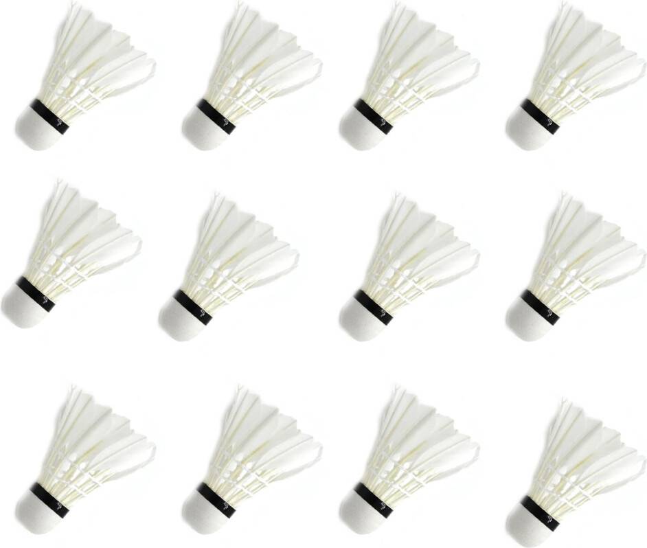 12pcs Shuttlecocks Sporttraining Set