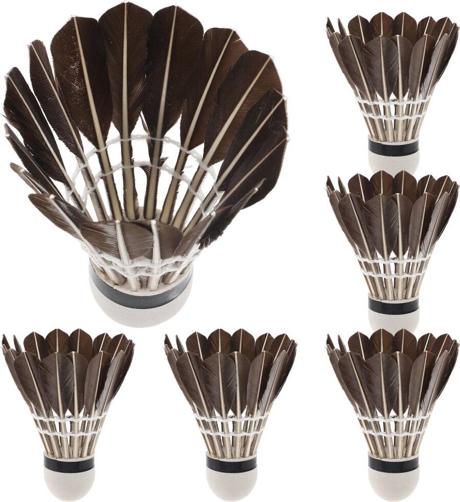 Inoomp Entertainment Shuttlecocks Multi 6pcs