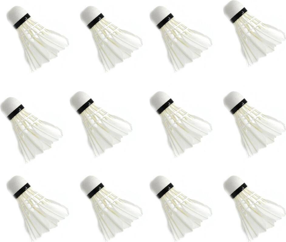 12pcs Sporttraining Shuttlecocks Set