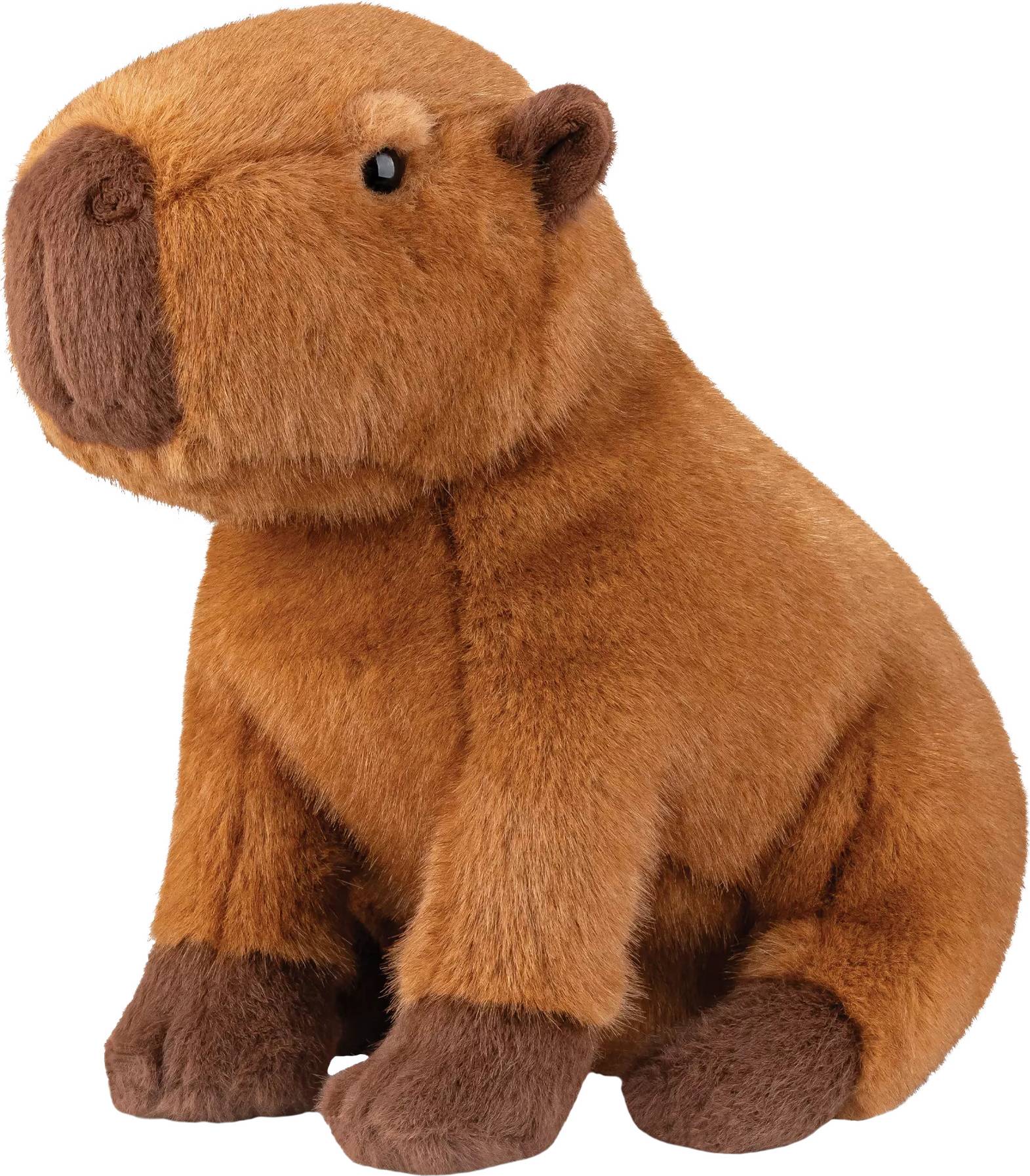 Borealis Ralph Capybara Plush Soft Toy