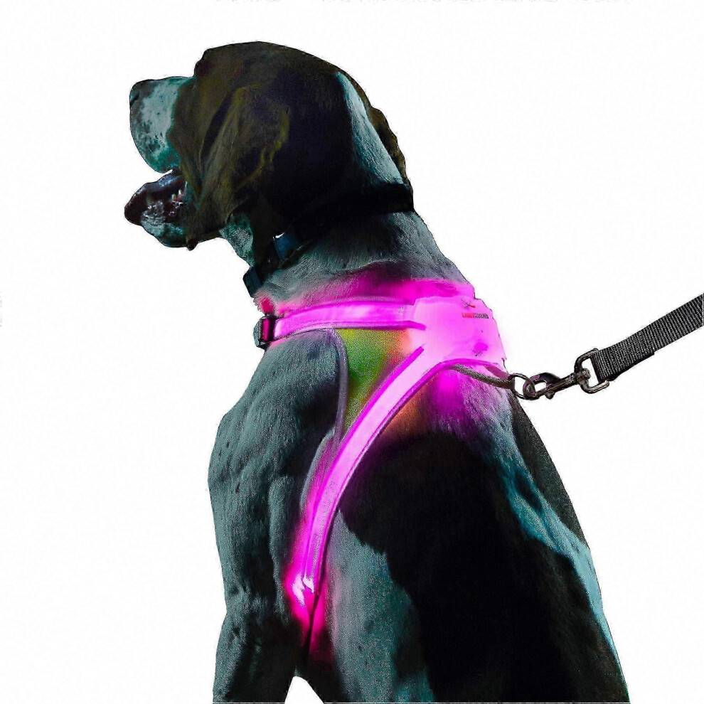 LED Light-Up Dog Harness Rechargeable Adjustable Reflective