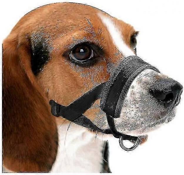 Gentle Muzzle Guard For Dogs Multiple Sizes