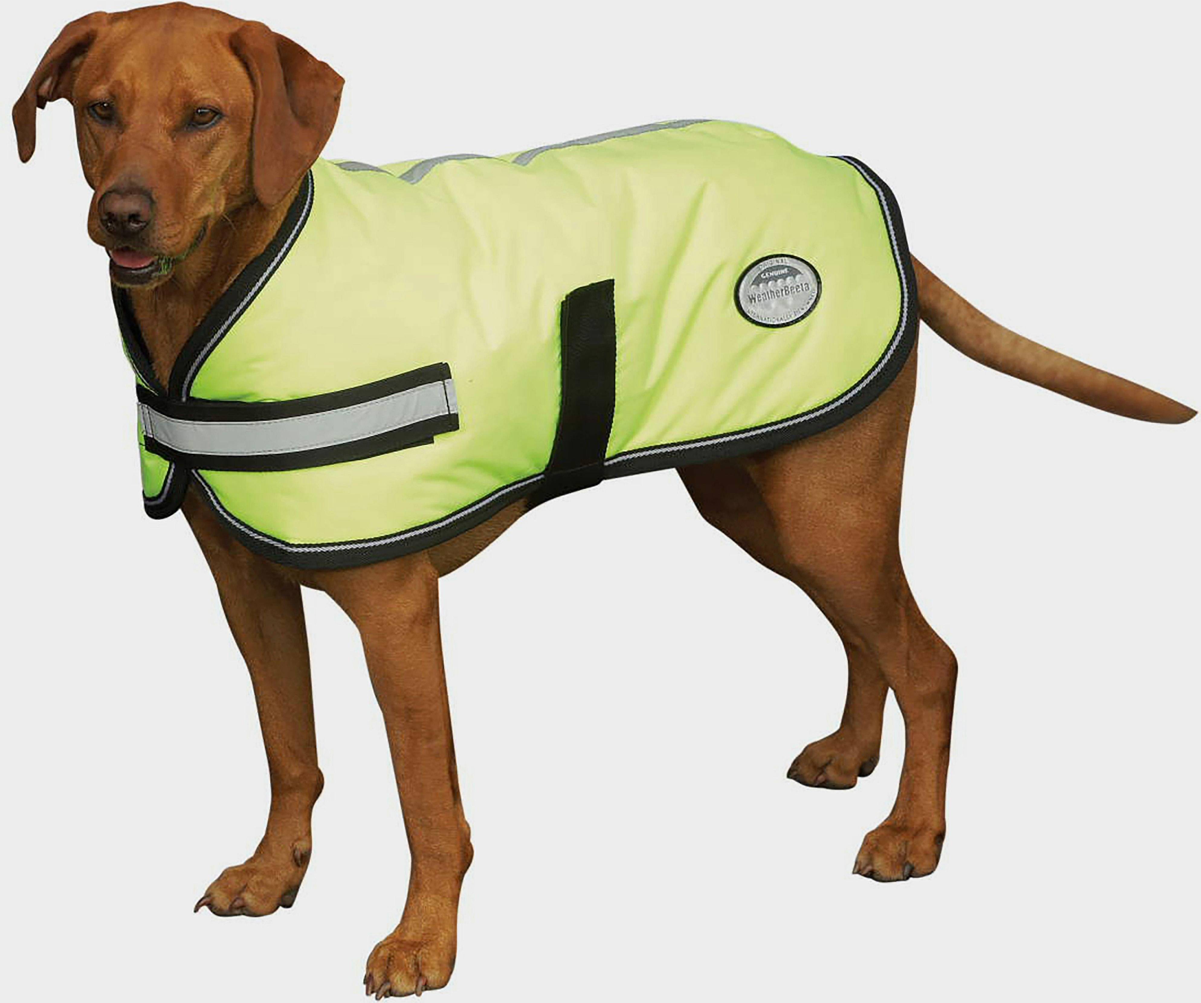 Weatherbeeta Reflective Dog Rug 55cm Yellow Silver