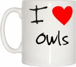 TeeTreeDesigns I Love Heart Owls Mug Cup