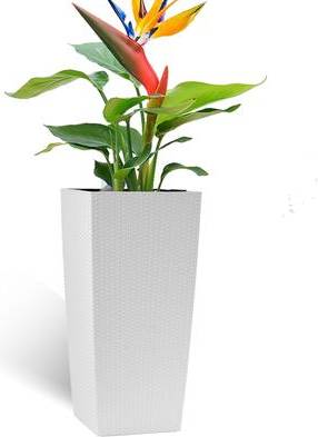 Large flower pots Large Flower Pot Planter - 30 Inch Pot
