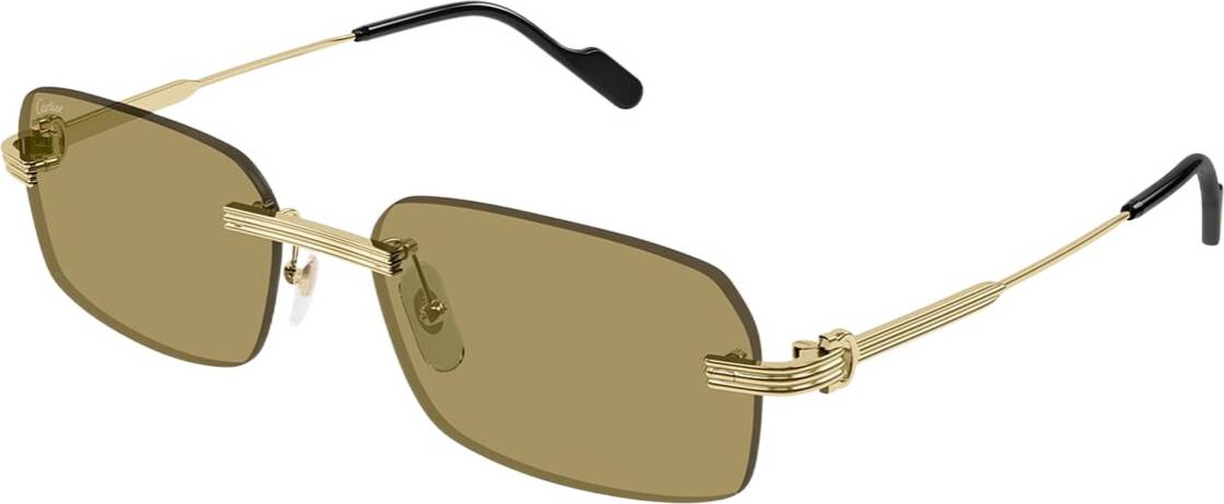 Cartier Rectangular Frame Sunglasses