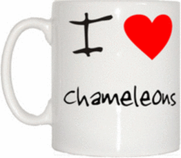TeeTreeDesigns I Love Heart Chameleons Mug Cup