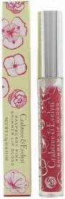 And Lip Gloss Raspberry Pink