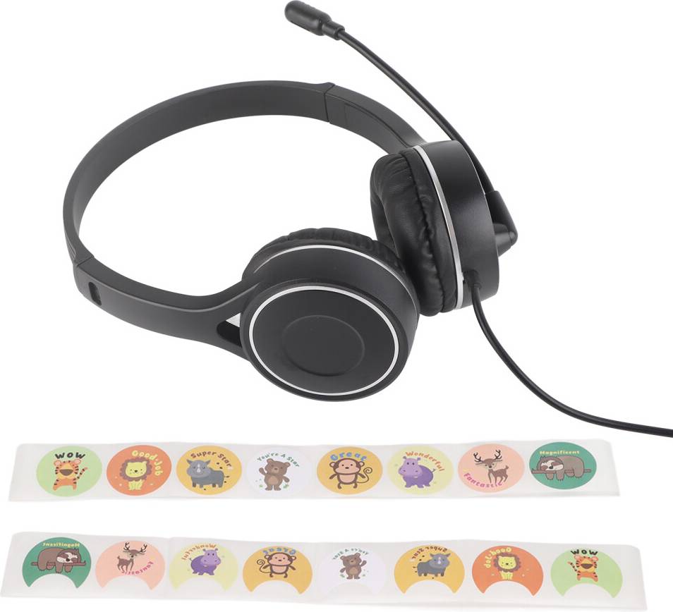 Wireless surround sound system Dual Swappable Battery System Headset