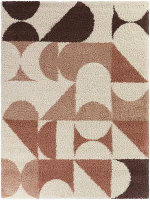 Bellanca 5 x 7 Rectangular Area Rug