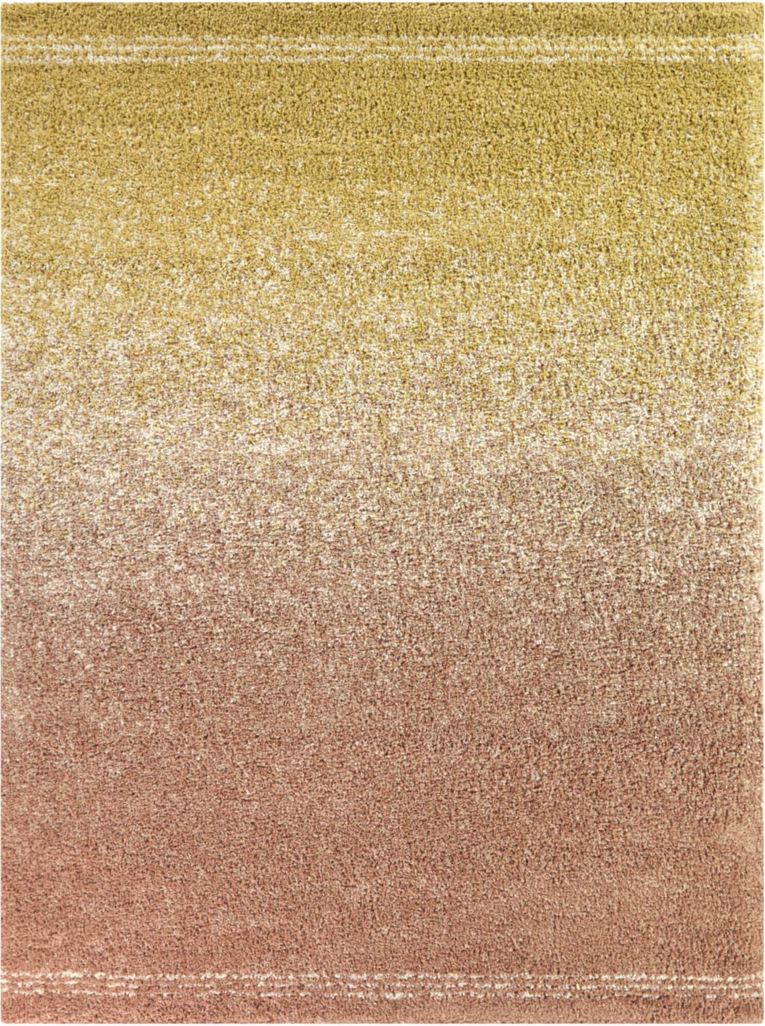 Cybele Gradient Shag Area Rug 7'10 x 10