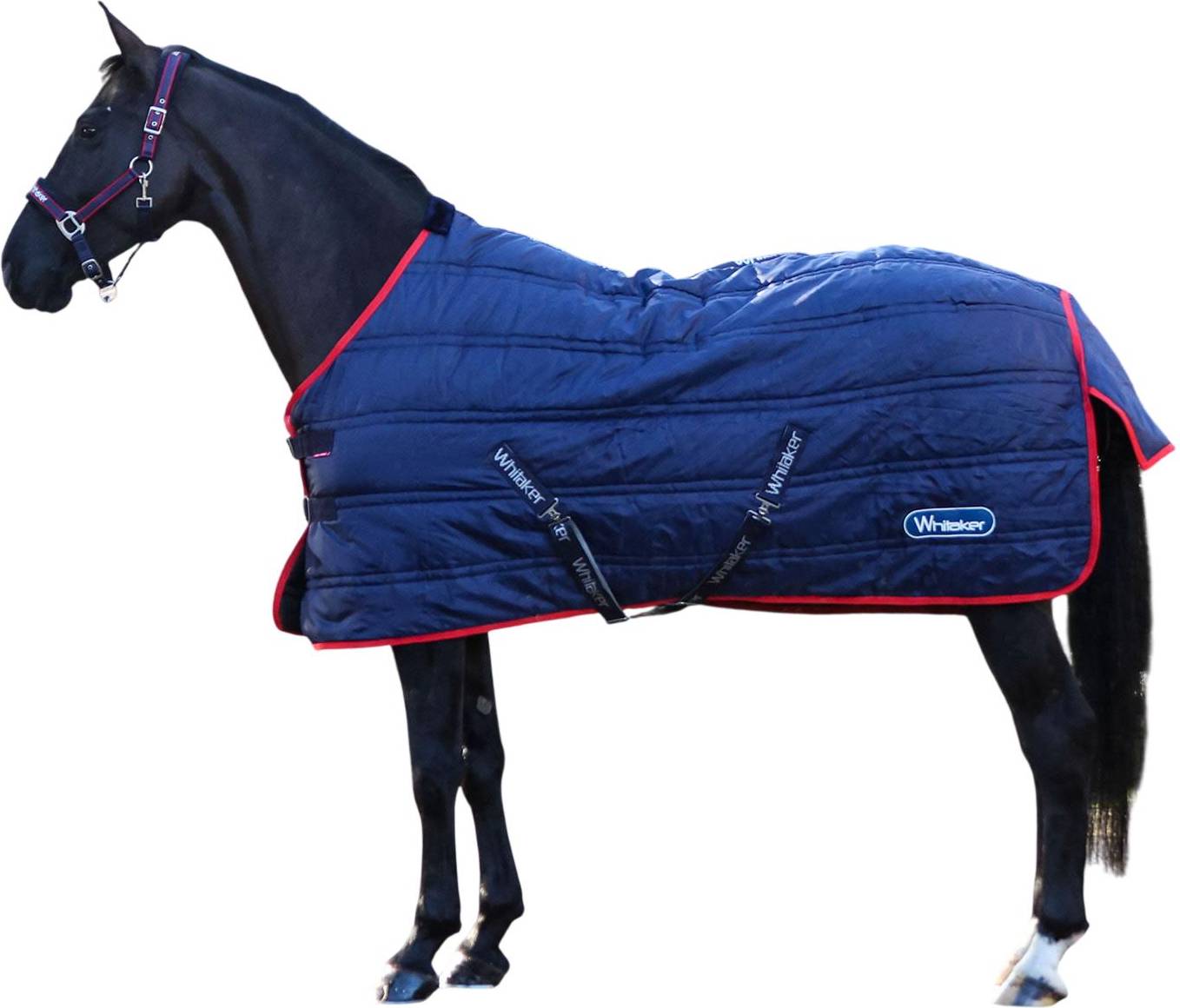 Whitaker R451 Rastrick V2 Standard-Neck Horse Stable Rug - Navy