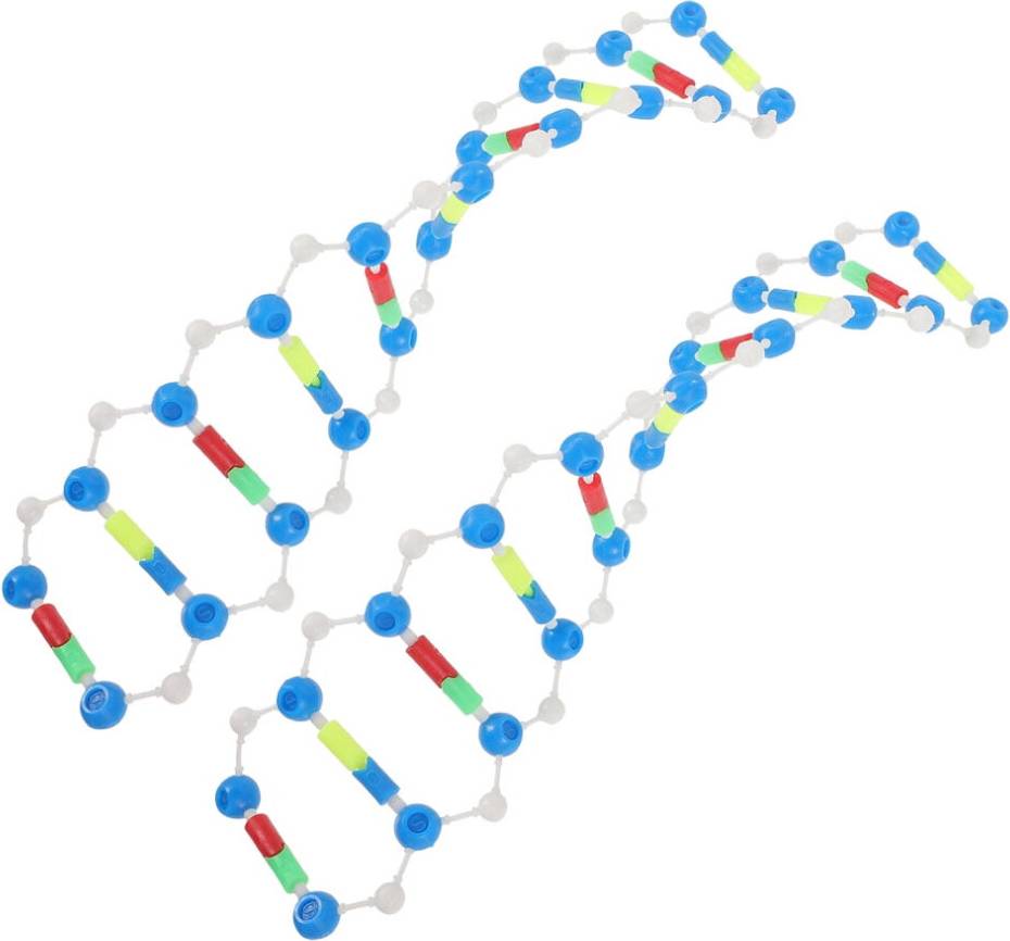 Dna kit DNA Double Helix Model Kit Plastic