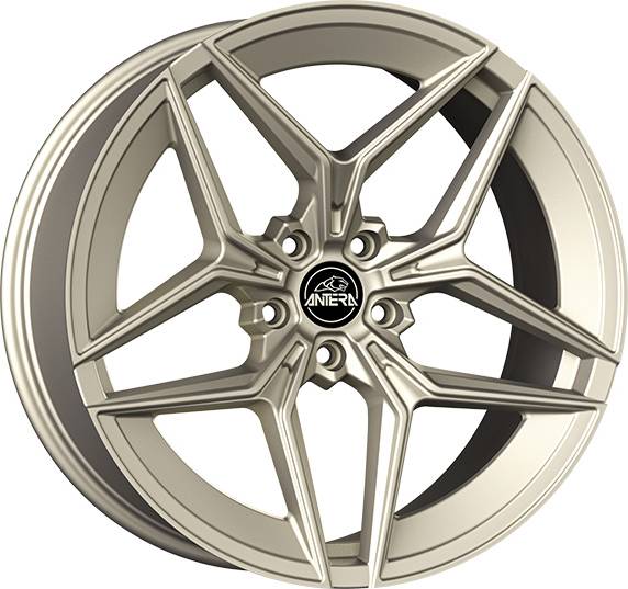 GMP Rim Aluminium 21 Inch Beige Alloy Wheel