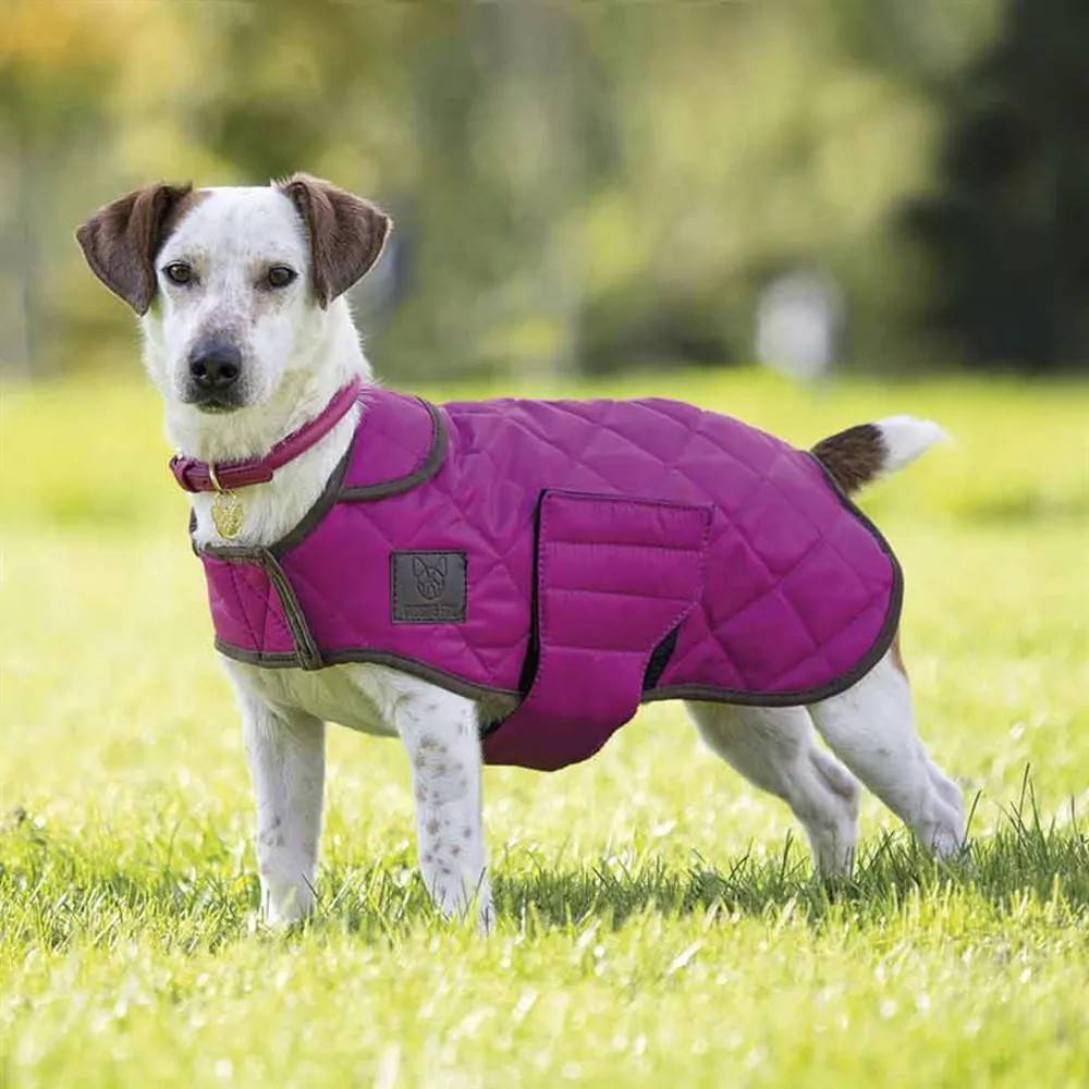 Digby & Fox Quilted Dog Coat Raspberry