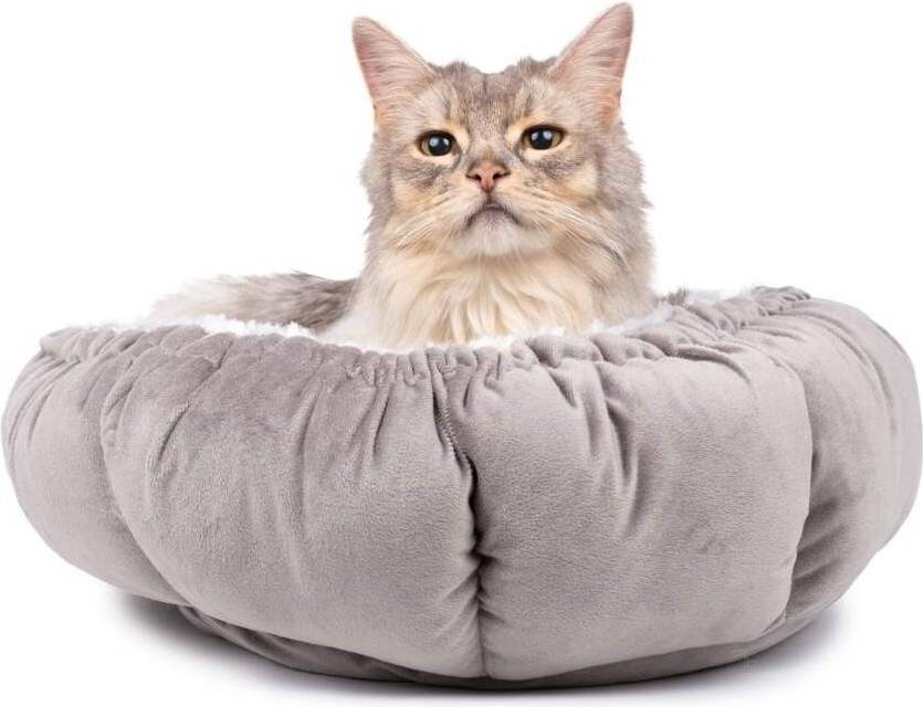 Basic Multifunktionell Kattbädd