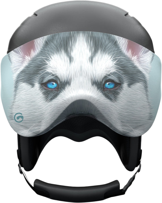 Pro Husky