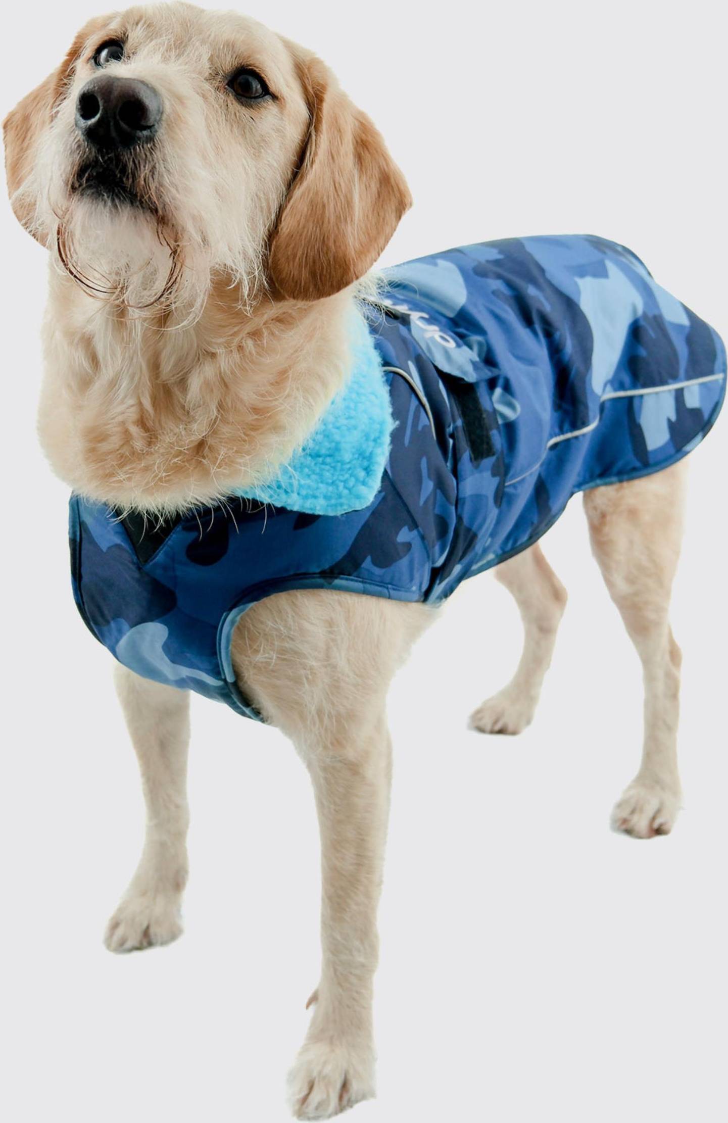 Hundejacke