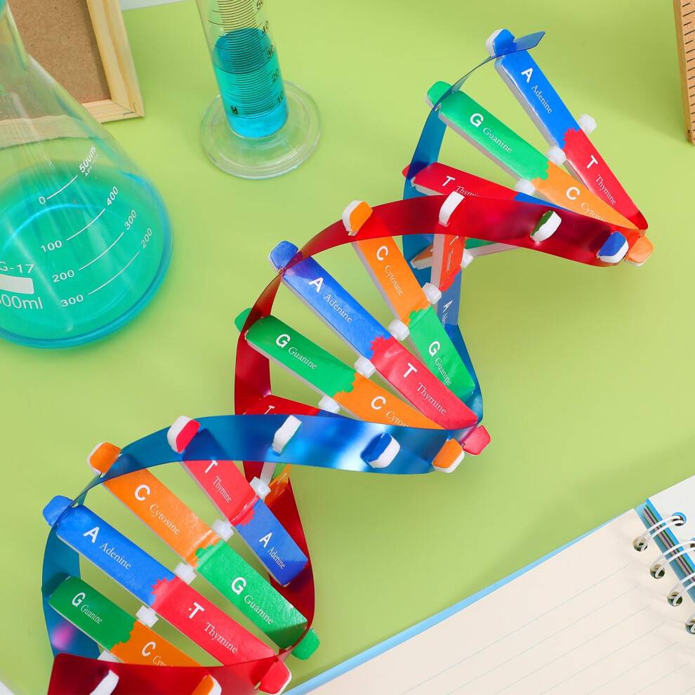 Dna kit Double Helix DNA Model Kit