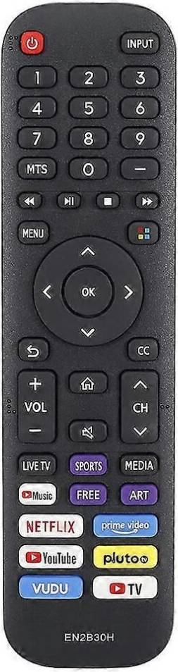 Hisense EN2B30H Handheld TV Remote Control