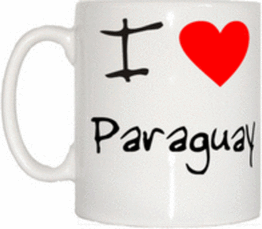 TeeTreeDesigns I Love Heart Paraguay Mug Cup