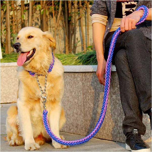 Winwin Large Dog Leashes Pet Traction Rope Collar Set - Red