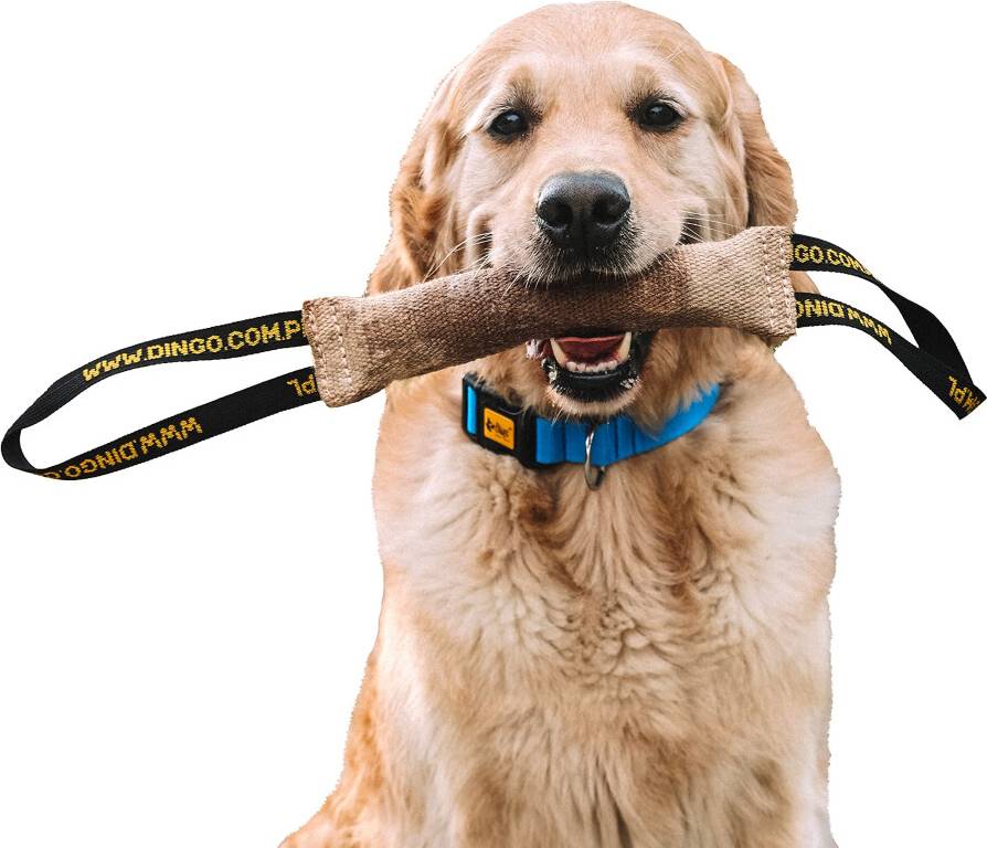 Dingo Waldemar Rutkowski Jute Tug Toy Strong 2 Handles Pull Rope 40 cm
