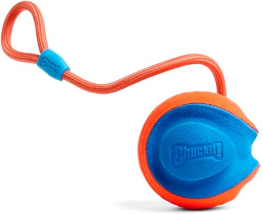 Chuckit! Toy Rope Fetch Dog Toy